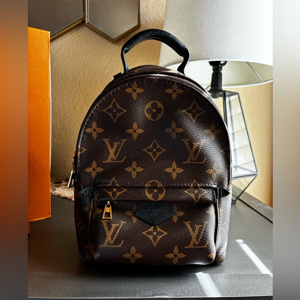 Louis Vuitton Palm Springs Mini